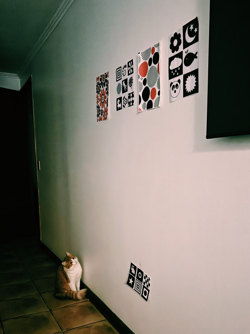 16 Láminas de Estimulación Visual (0 a 6 meses)